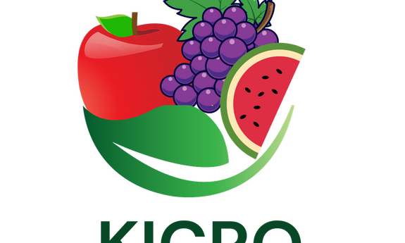 Pierwszy Newsletter projektu Kicro