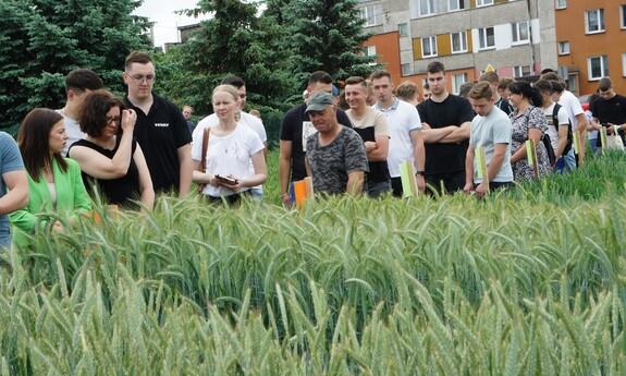 Studenci MANS na Dniach Pola 2025 – nauka w terenie i nowoczesne rolnictwo w praktyce