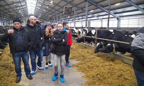 Grupa studentów zwiedzająca oborę. Z prawej strony stojące krowy przy paszy.